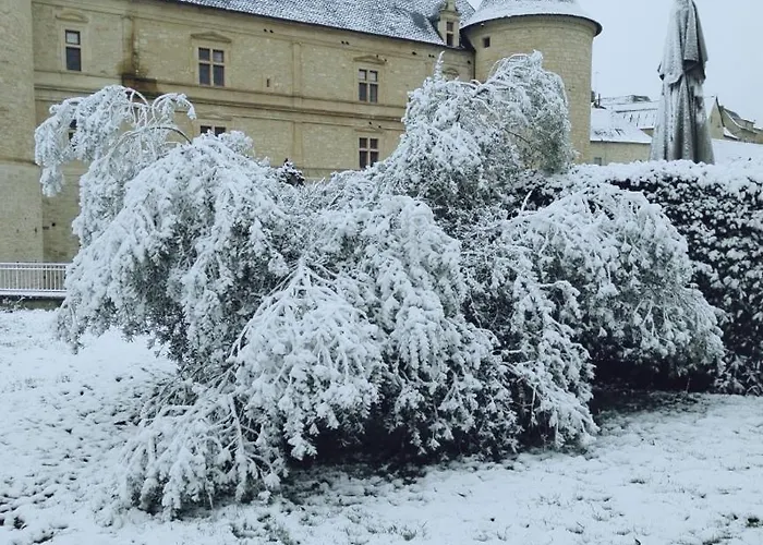 Ferienhaus Mas Du Colombier